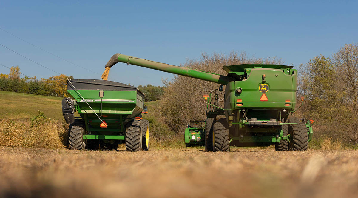 Soybean Harvest Combine unloading into grain cart.
