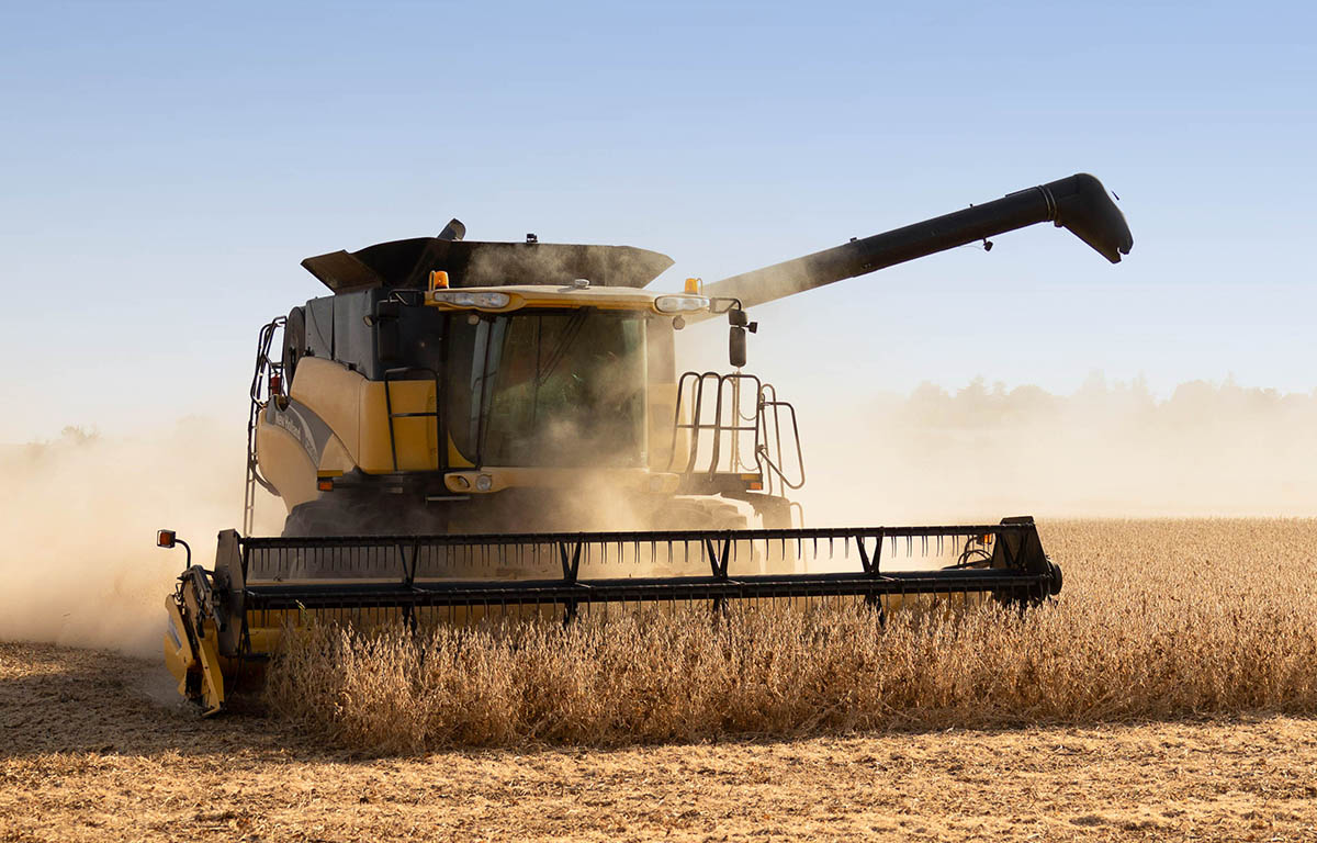 Yellow combine harvesting soybeans in Iowa