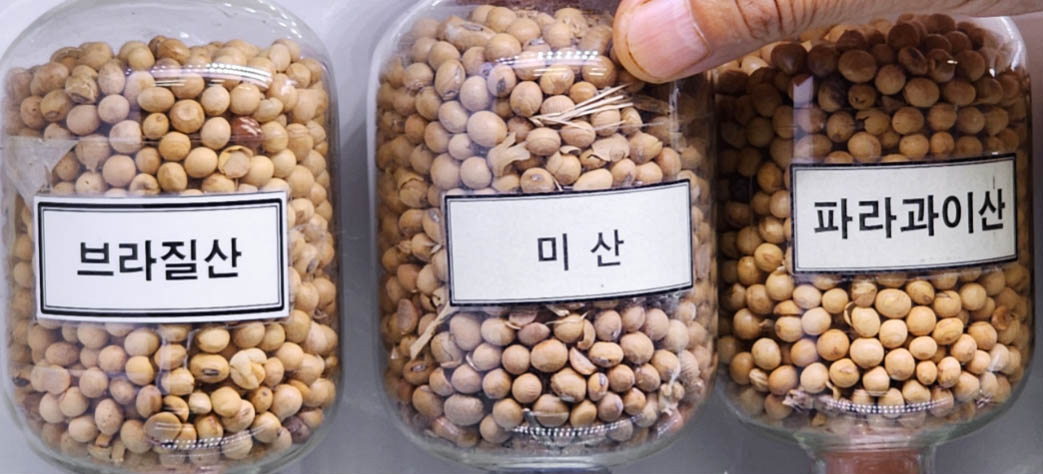 Soybeans at CJ CheilJedang Soybeans in glass jars