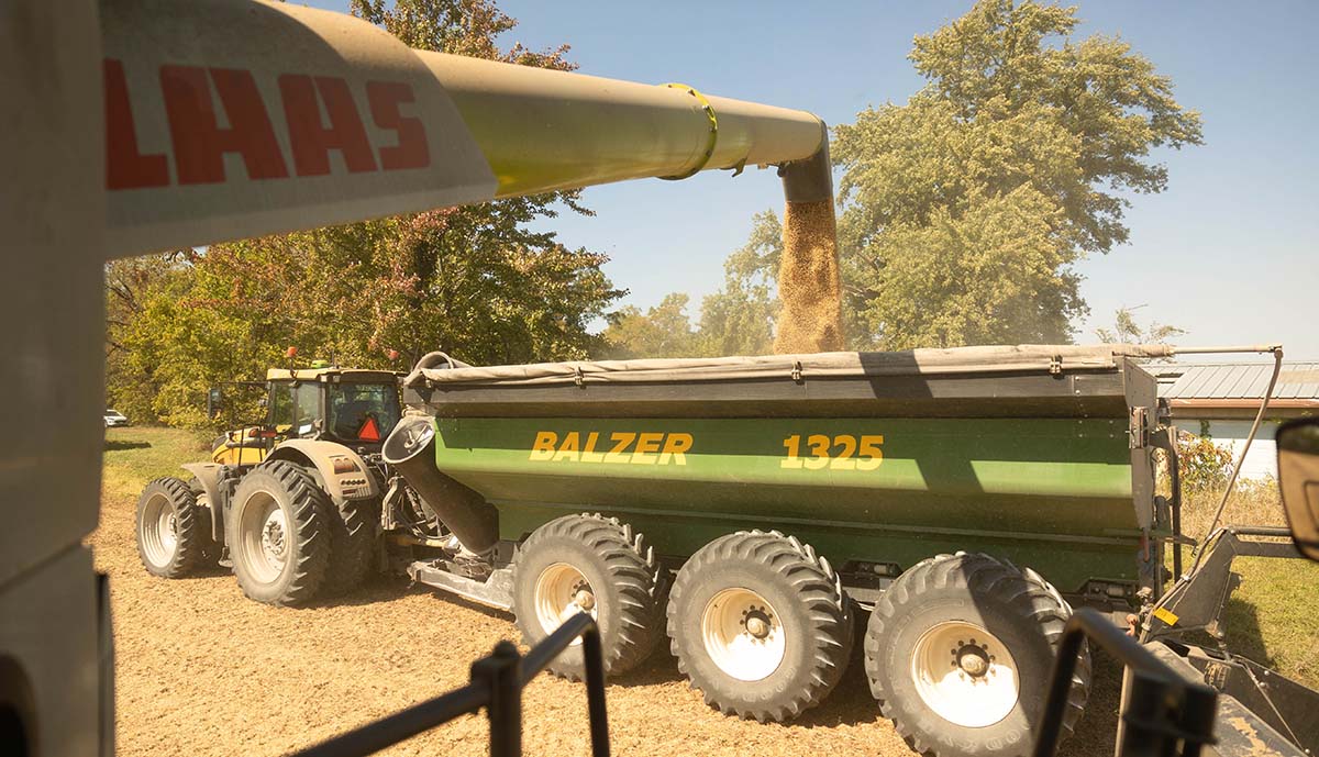 Combine filling up grain cart during harvest