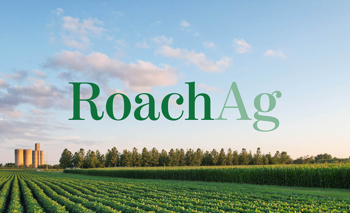 Logo of Roach Ag in the sky above a soybean and corn fi
