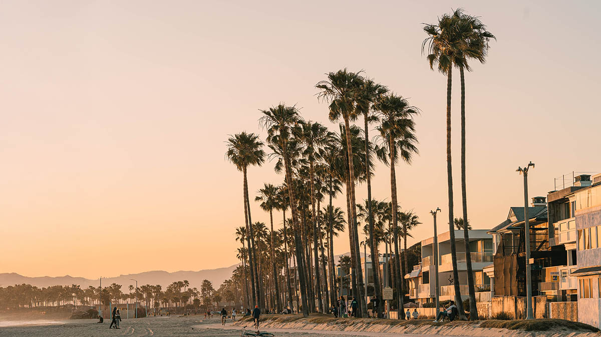 Beach with palm trees in California