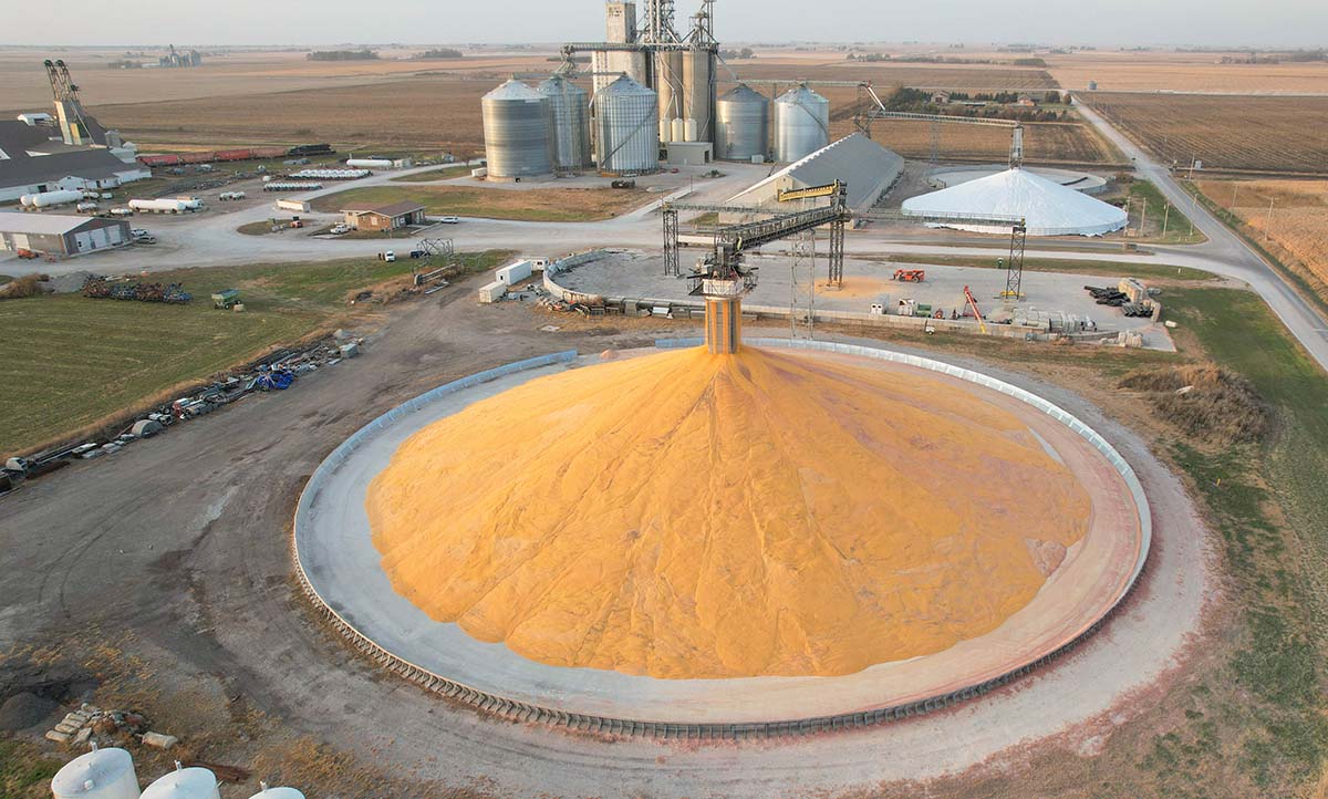 Crops unloaded at cooperative in Iowa