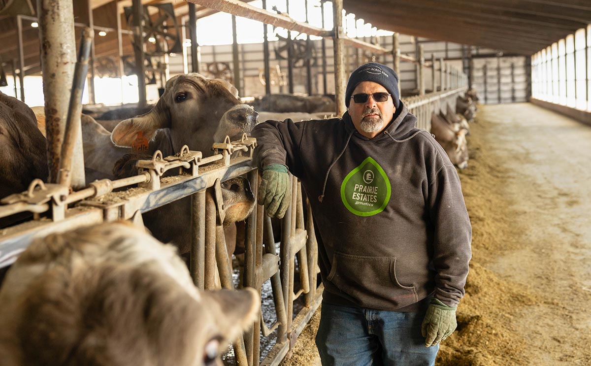 Dairy farmer standing next to cows