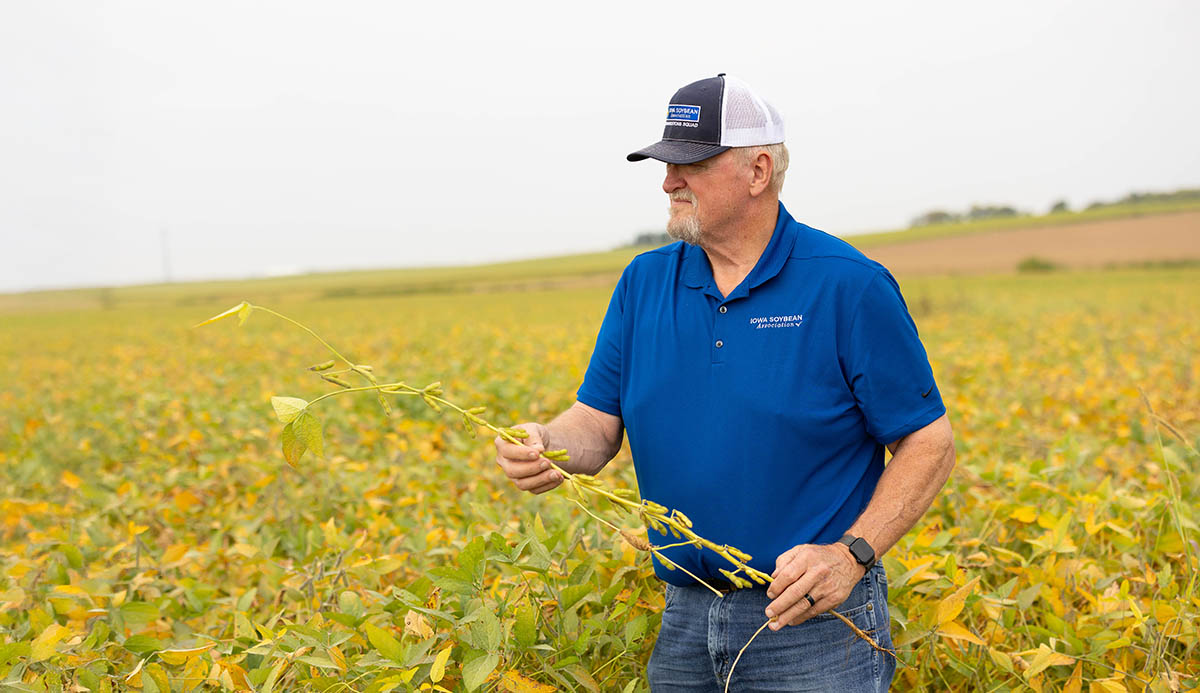Farmer near Reinbeck