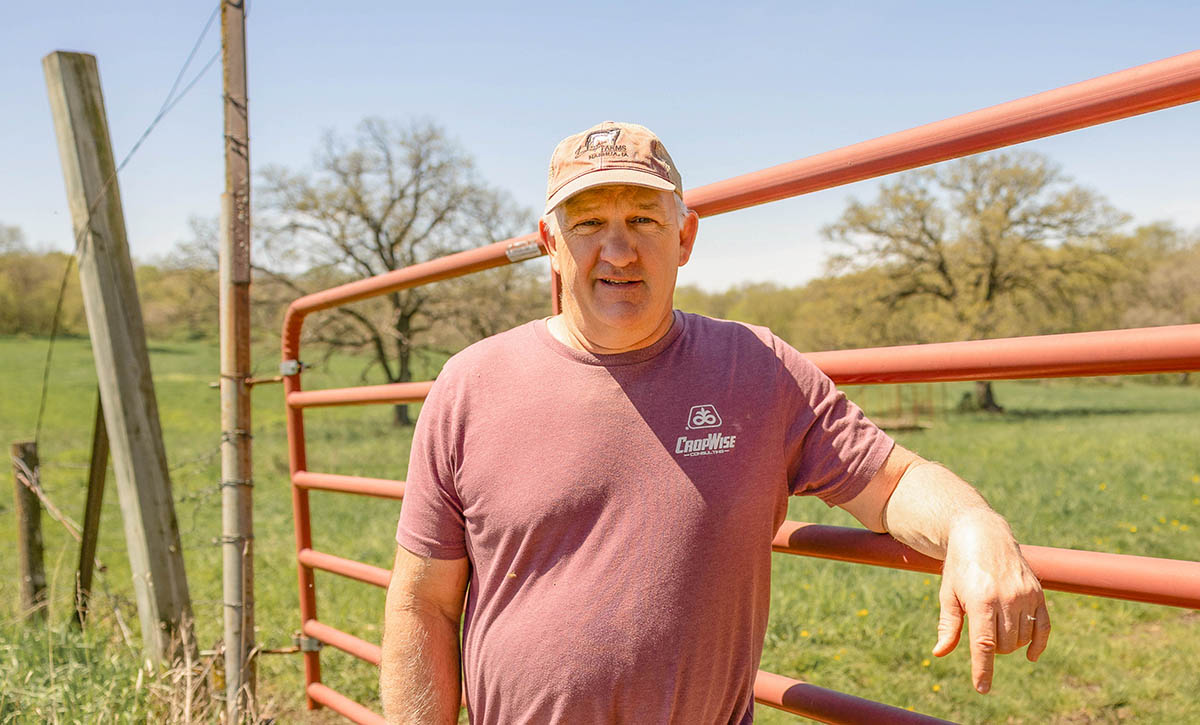 Farmer member from Nashua