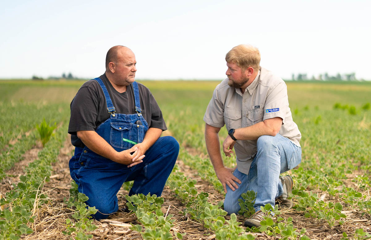 Alex Schaffer with farmer in soybean field