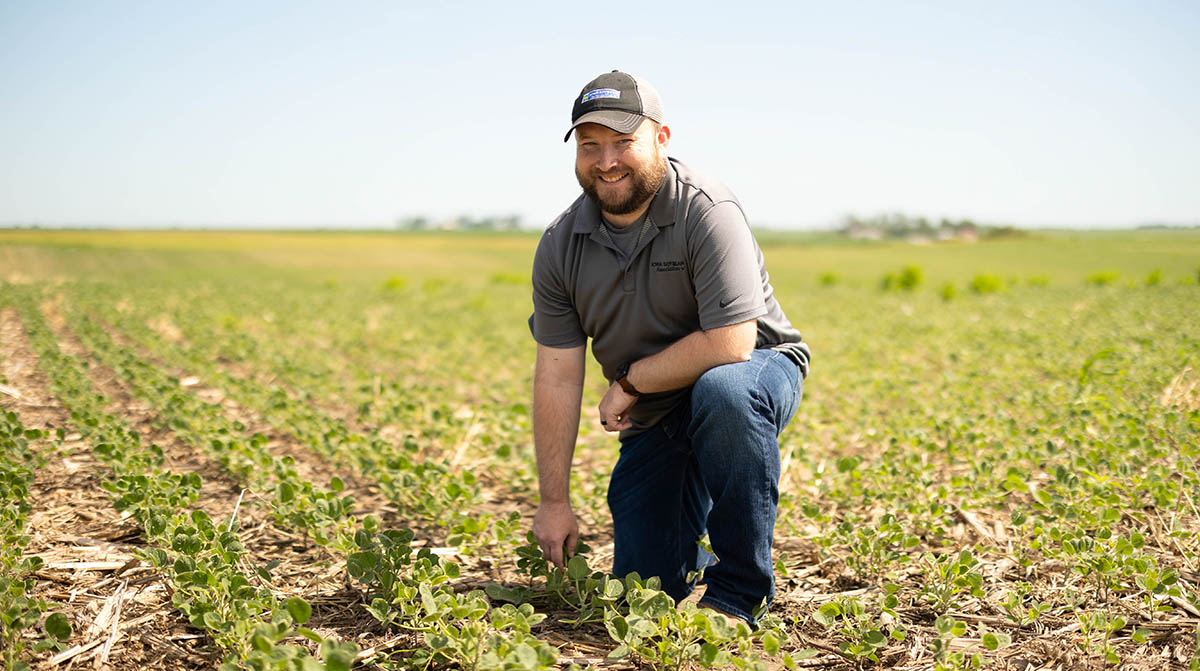 Iowa Soybean Association Research Agronomist