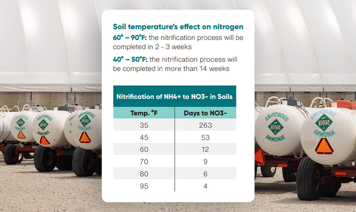 Chart showing temperature and NO3 levels