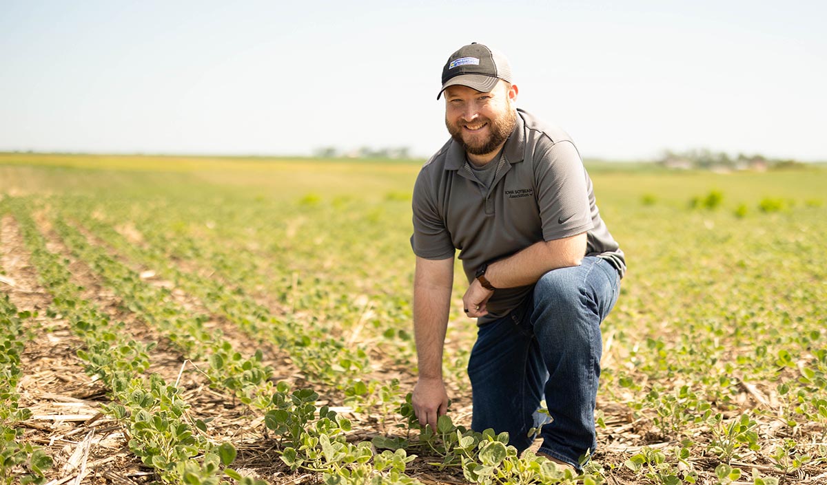 Agronomist kneeling down in soybean field