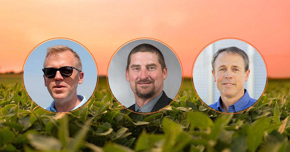 Soybean exports provide input on future demand