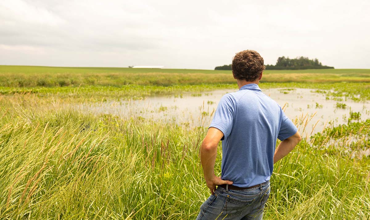 Conservation agronomist looking at wetland