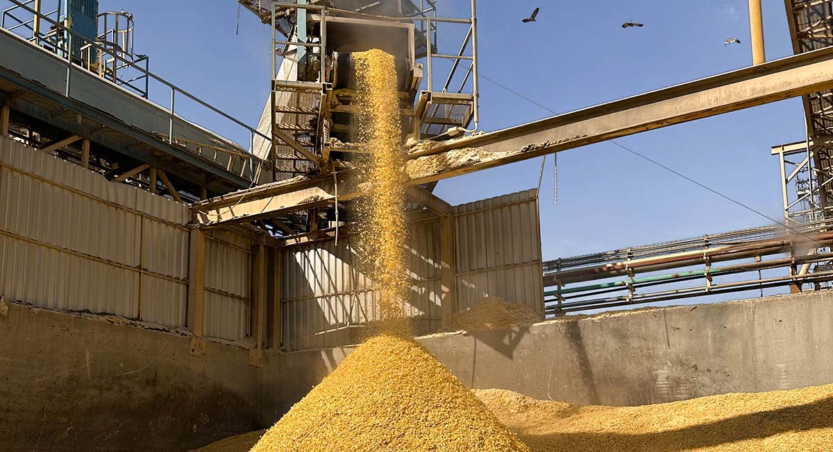 Storing soybean product in bunker