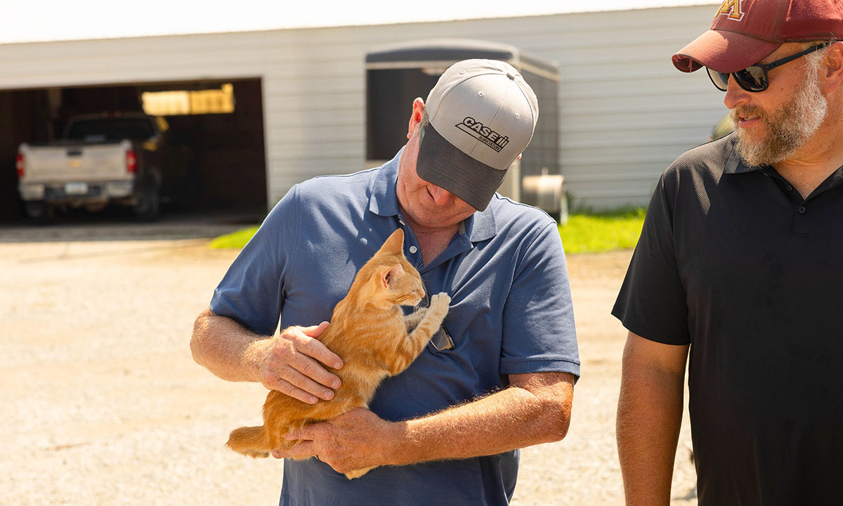 Cat crawling on Iowa farmer