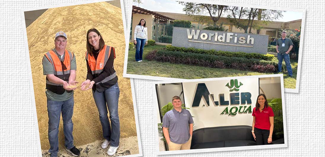 Collage of farmers on soy trip to Egypt