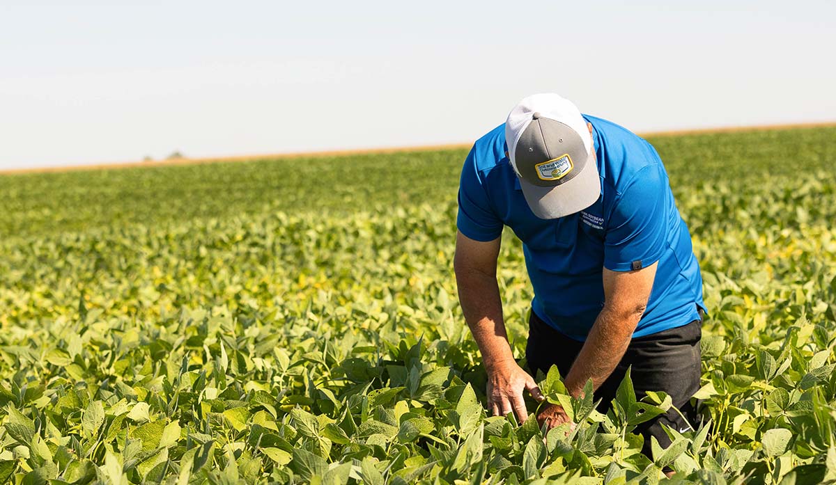 Farmer in soybean field with Soil and Water Outcomes Fund hat