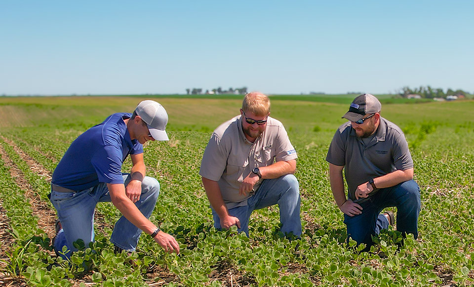 Research Agronomists in Field