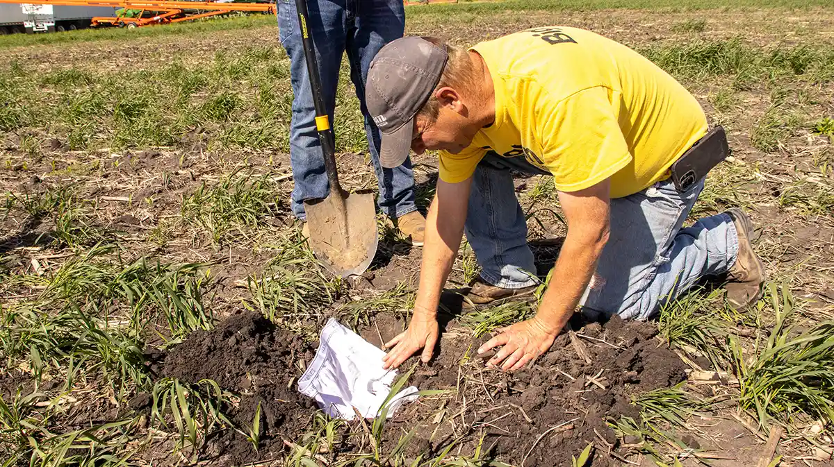 Preparing the soil health experiment Burying underwear in field