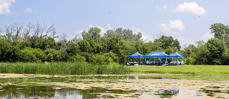 Experience Class at Wetland