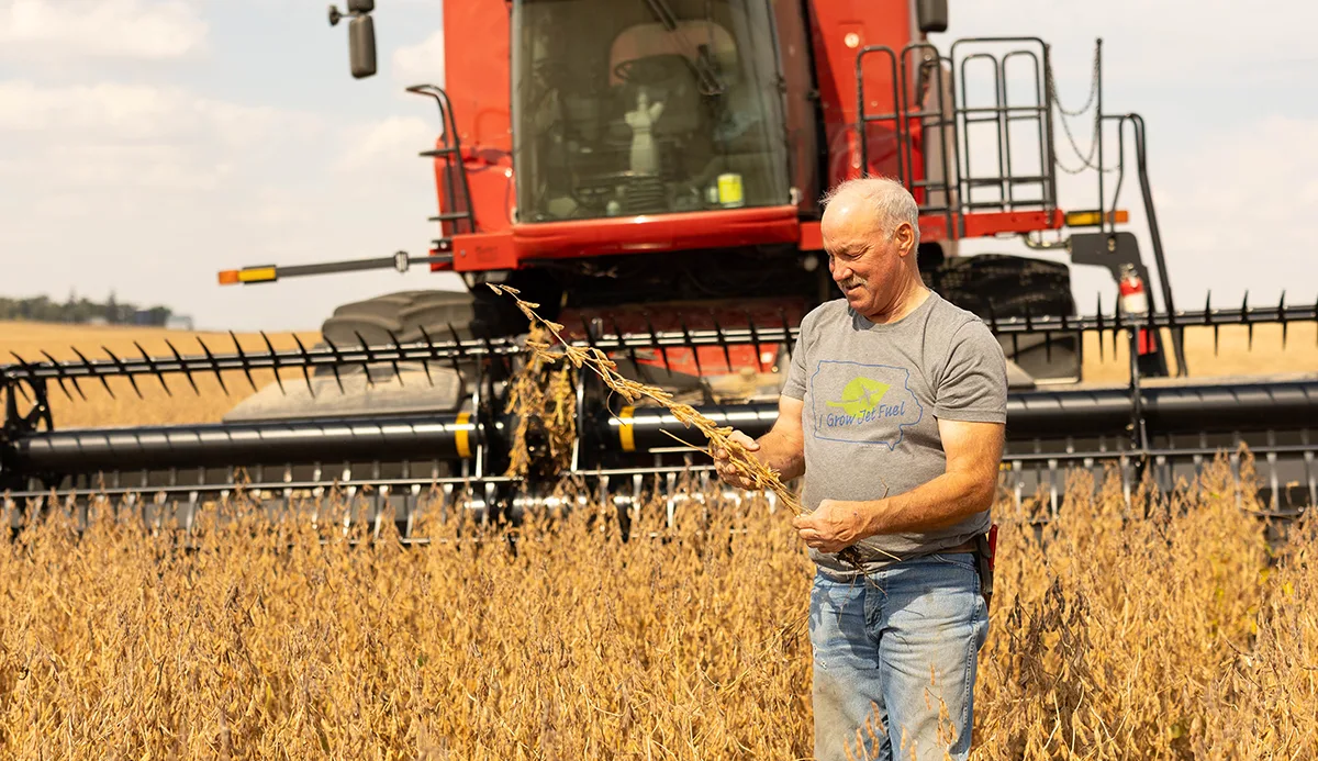 Scot Bailey checking soybeans during harvest