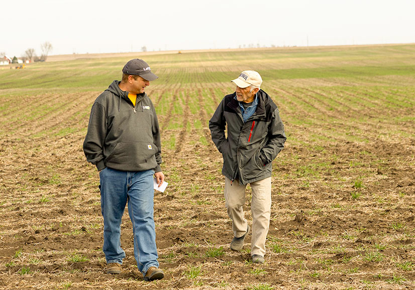 Two Men Walk in a Strip-Till Field
