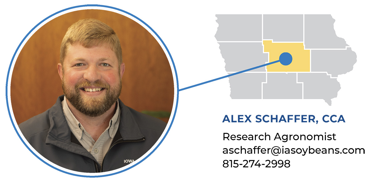 Agronomist field report Alex Schaffer