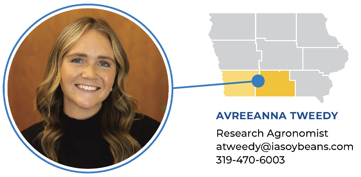 Agronomist field report - Tweedy Avreeana Tweedy
