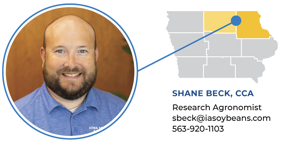 Agronomist field report- Beck Shane Beck