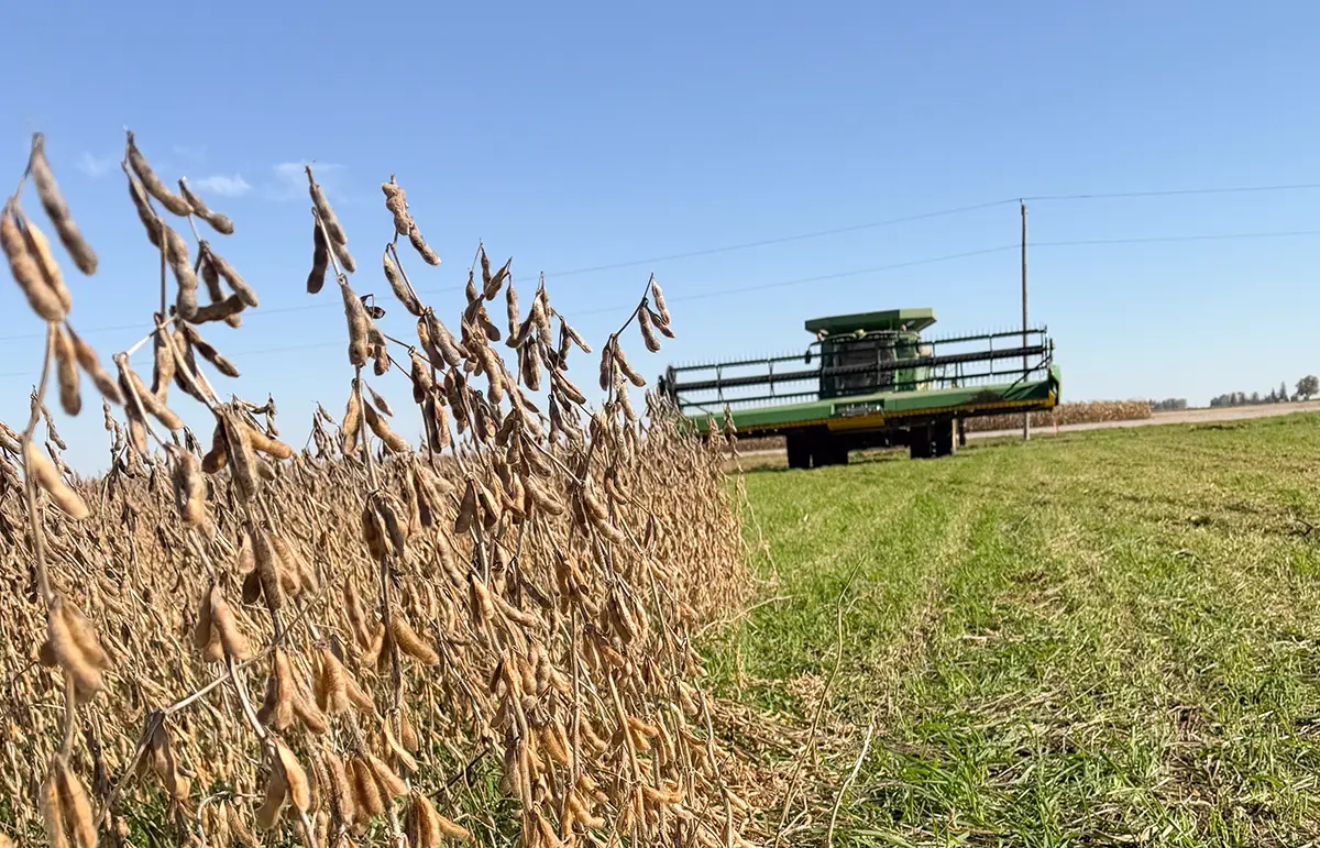 Combine in Field