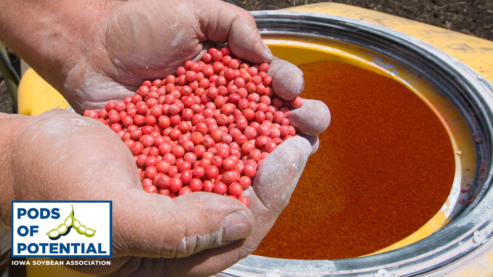 Farmer holds treated seeds above planter