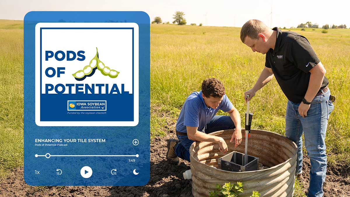 Agronomists checking drainage structure