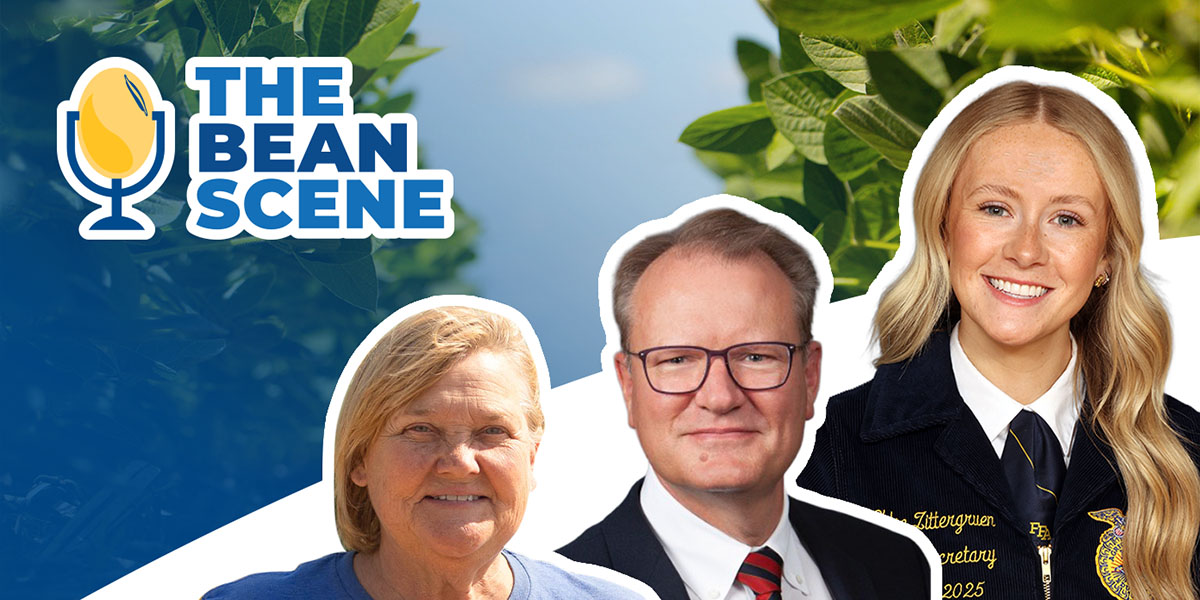 Graphic promoting a podcast with April Hemmes, Chloe Zi