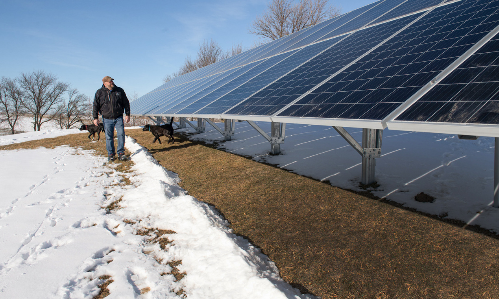 Kevin McGrain inspects his solar panels on his farm nea