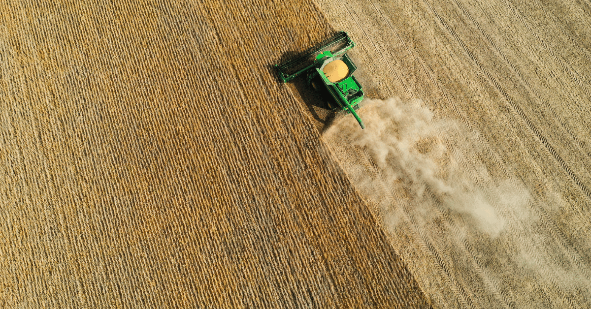 Bird's-eye view of soybean harvest.