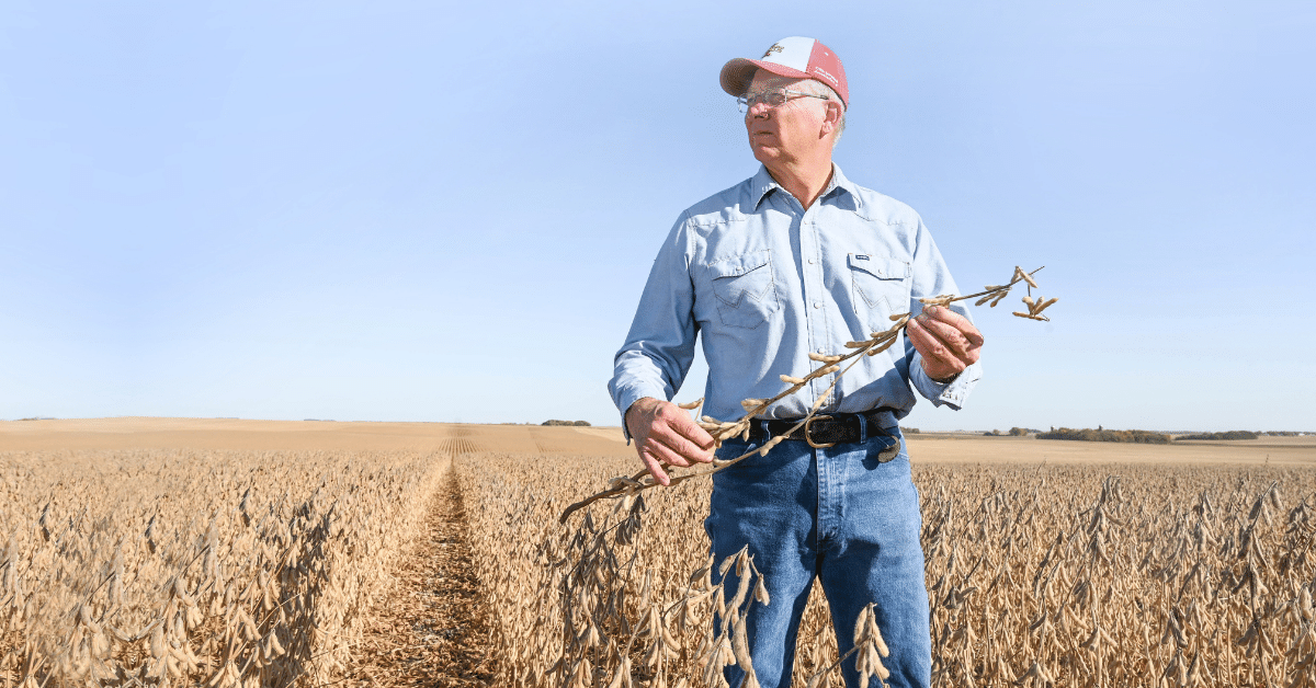 Tom Oswald, United Soybean Board director from Cleghorn