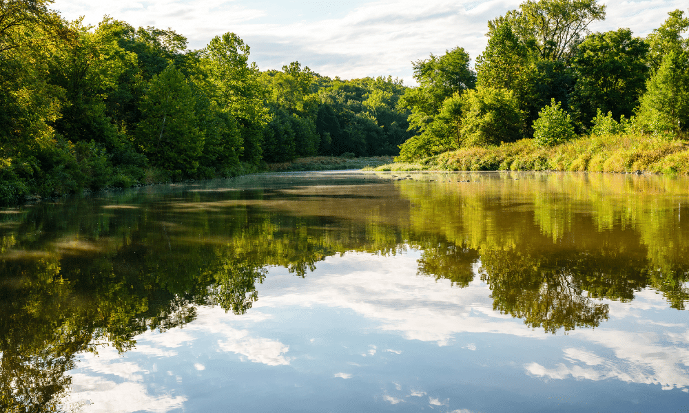 Trees are reflected on an Iowa river.