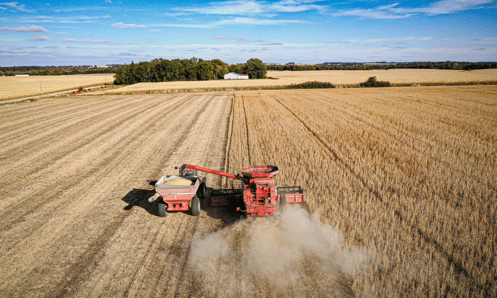 Overhead view of a cobine harvesting soybeans.