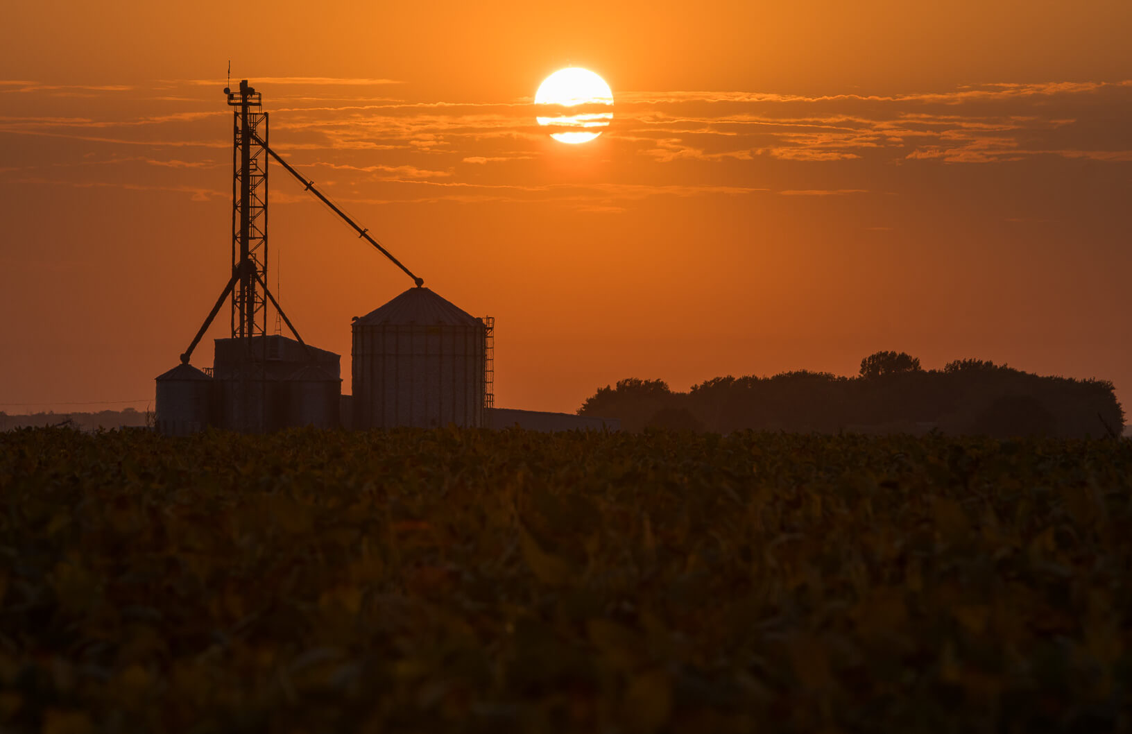 A collection of grain bins silhouetted at sunset