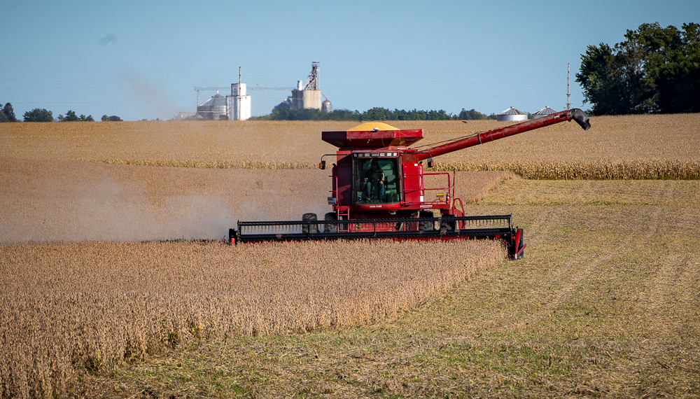A Case combine harvests soybeans with the town of Rippe
