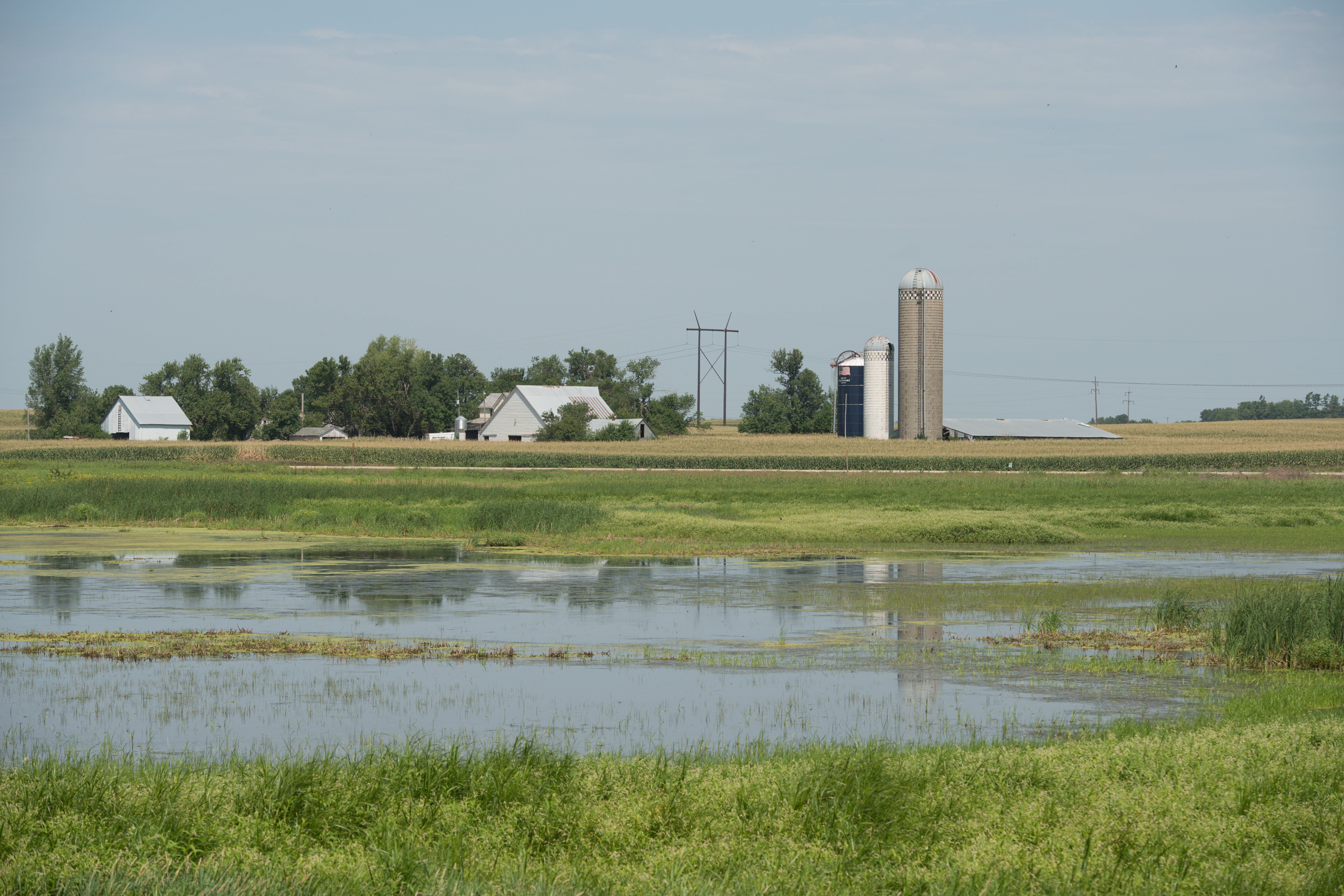 Photo Credit: Iowa Soybean Association