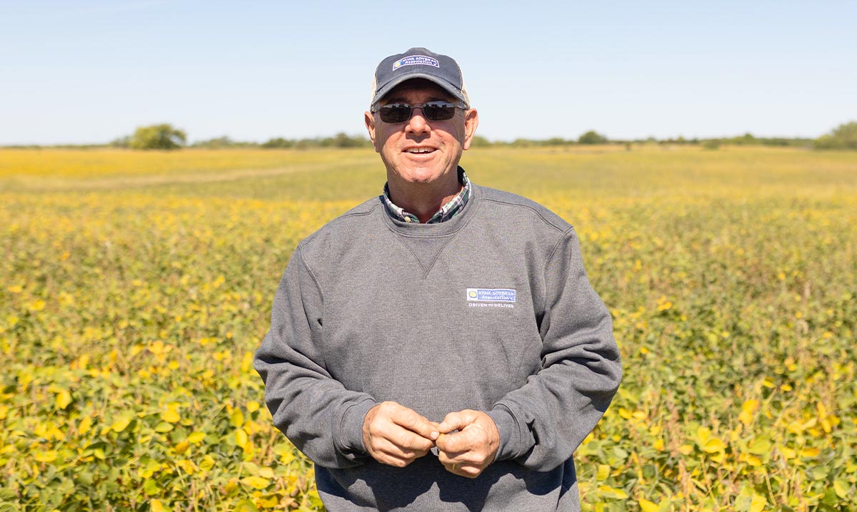 Soybean farmer in Iowa standing in field