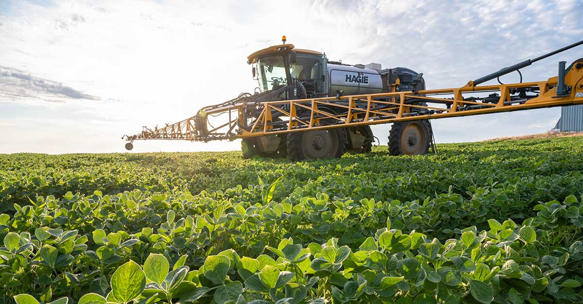 Hagie sprayer in soybean field