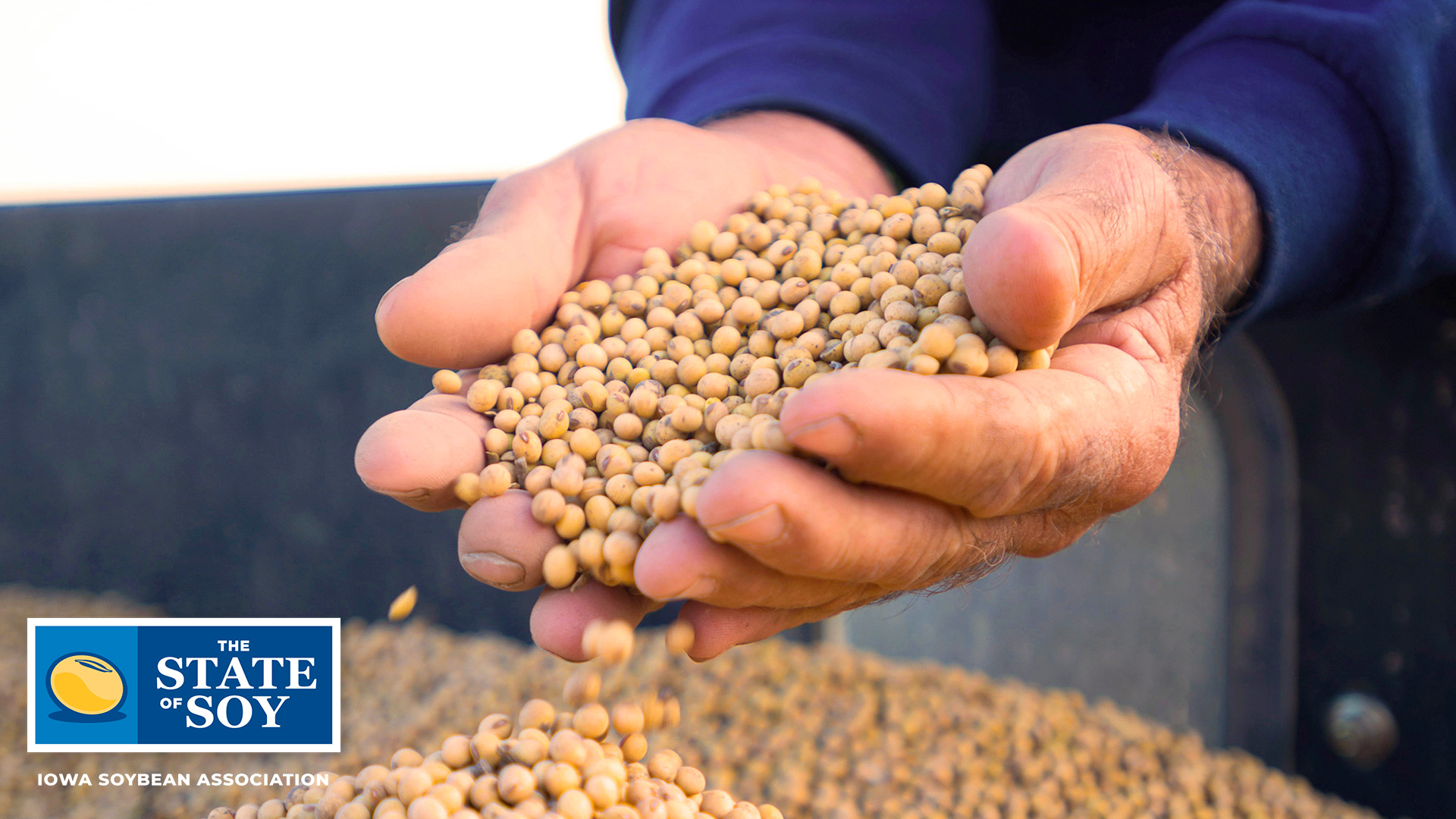 Farming holding soybeans in his hands