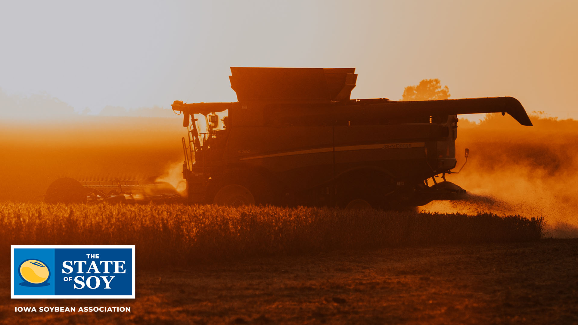 Combine in Soybean Field at Dusk