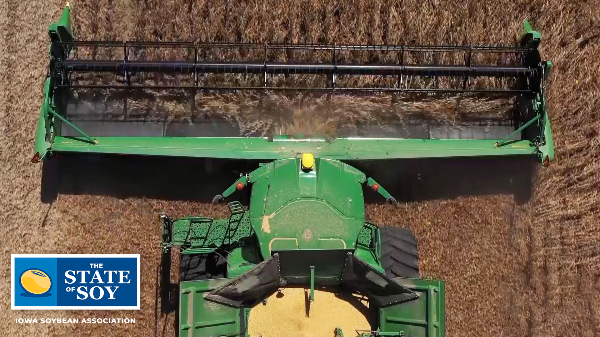 Aerial photo of combine harvesting soybeans