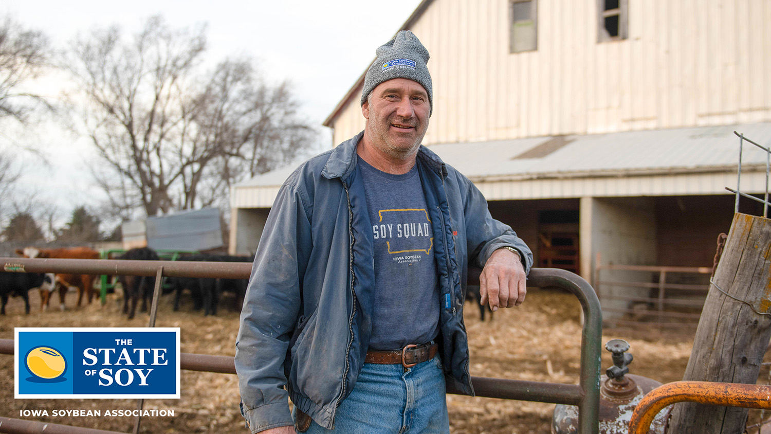 Iowa soybean farmer standing by cattle