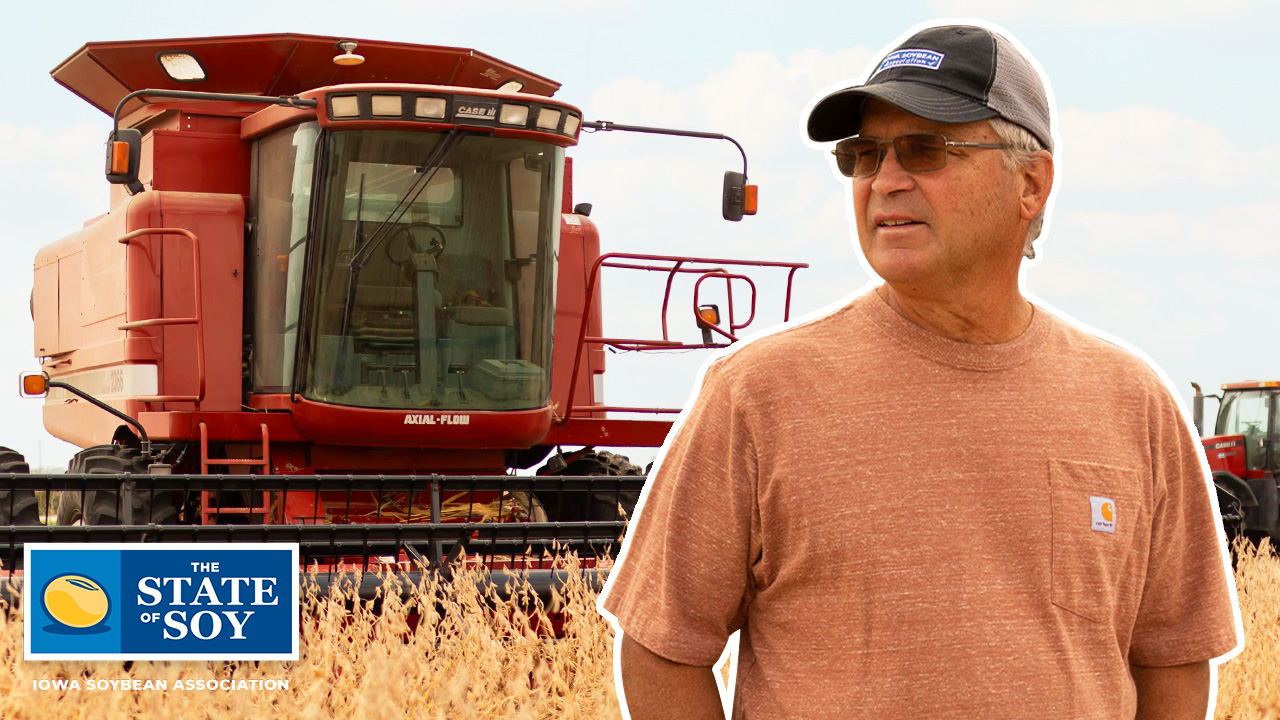 Soybean farmer standing with red combine in field