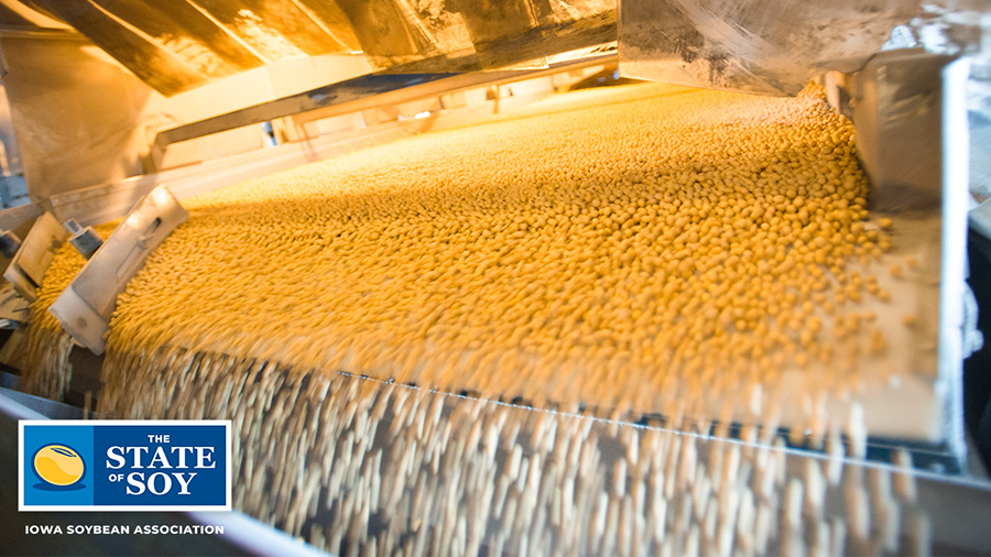 Soybeans on machine