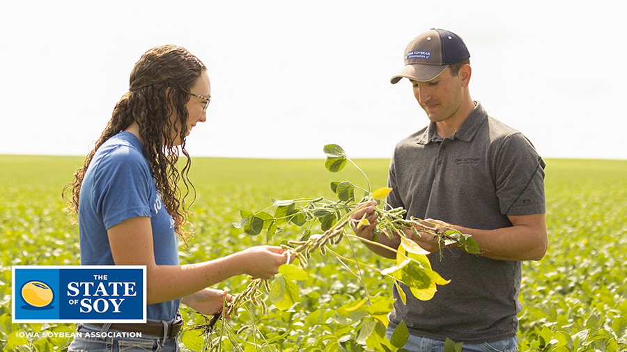 ISA conservation agronomists in soybean field