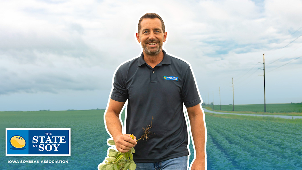 Soybean researchers standing in field